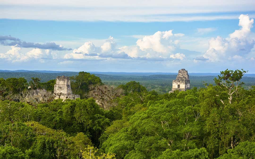 Tikal Ruins