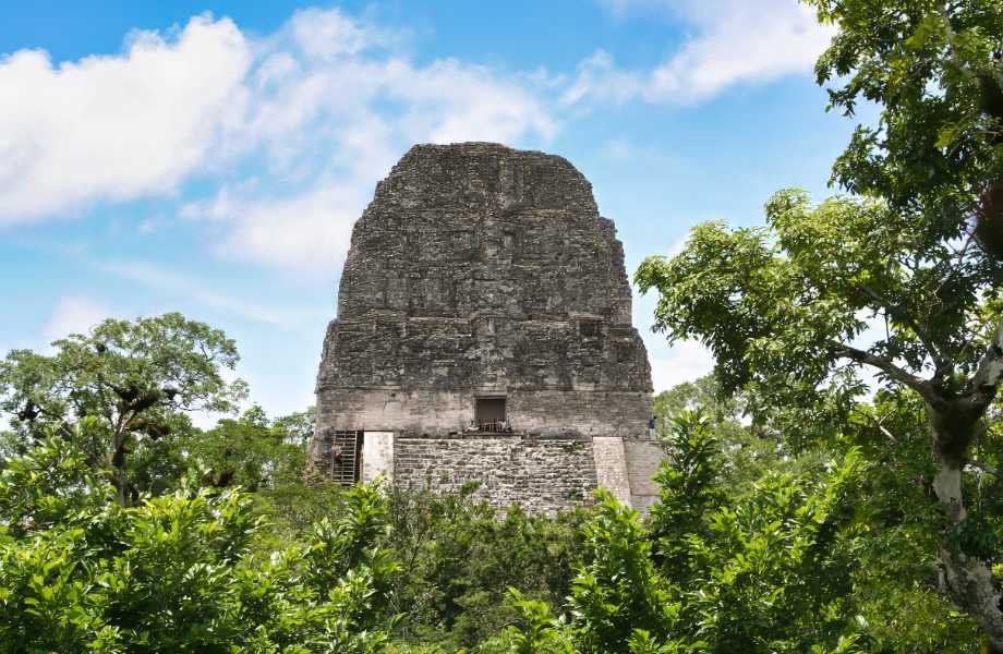 Tikal Temple Five Visitor enjoying the view of the Temple five at Tikal made possible by the convenience of Tikal online entrance fee payment