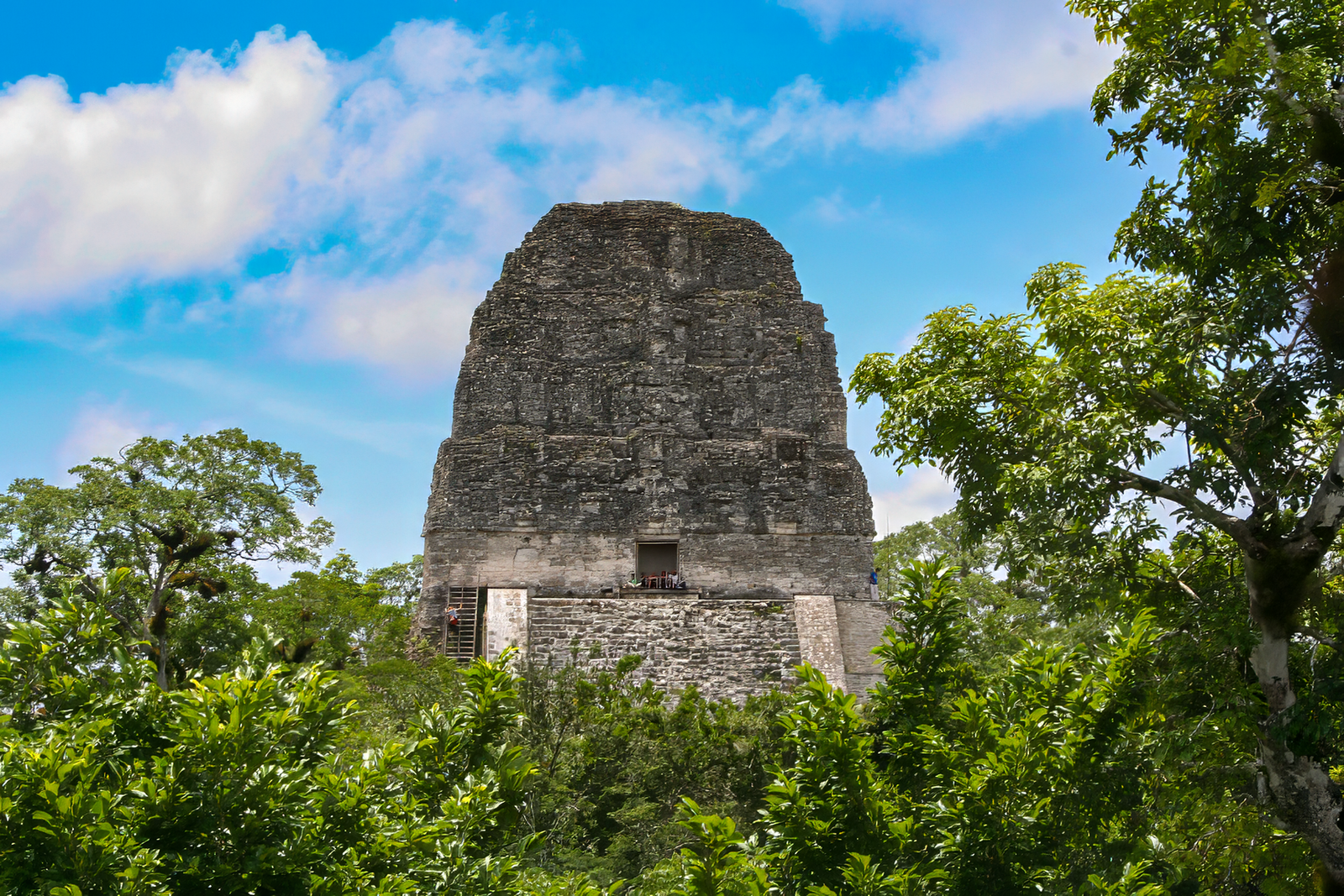 Frontal view of the top of Temple 5 in Tikal, showcasing its intricate ancient Maya architectural details and grandeur, set against a clear sky – a majestic representation of the Temples of Tikal.